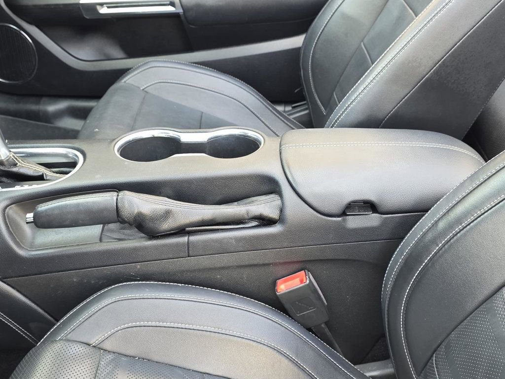 Used 2019 Ford Mustang GT Premium w/ Equipment Group 401A image 12