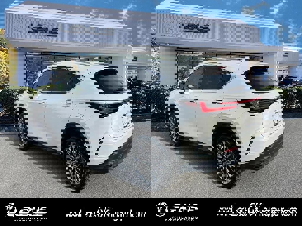 Used 2023 Lexus NX 350h AWD image 4