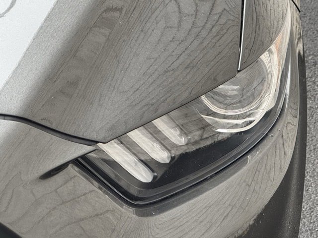 Certified 2017 Ford Mustang GT Premium w/ Black Accent Package image 4