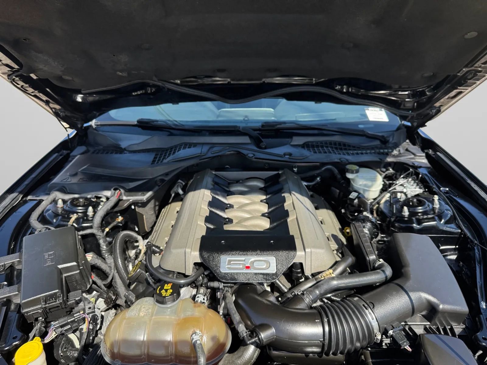 Used 2017 Ford Mustang GT w/ Black Accent Package image 65