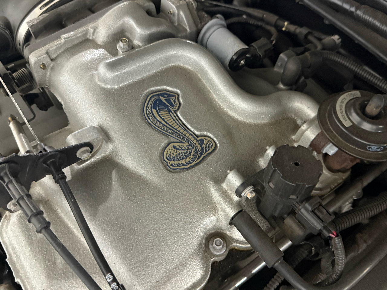 Used 2001 Ford Mustang Cobra image 29