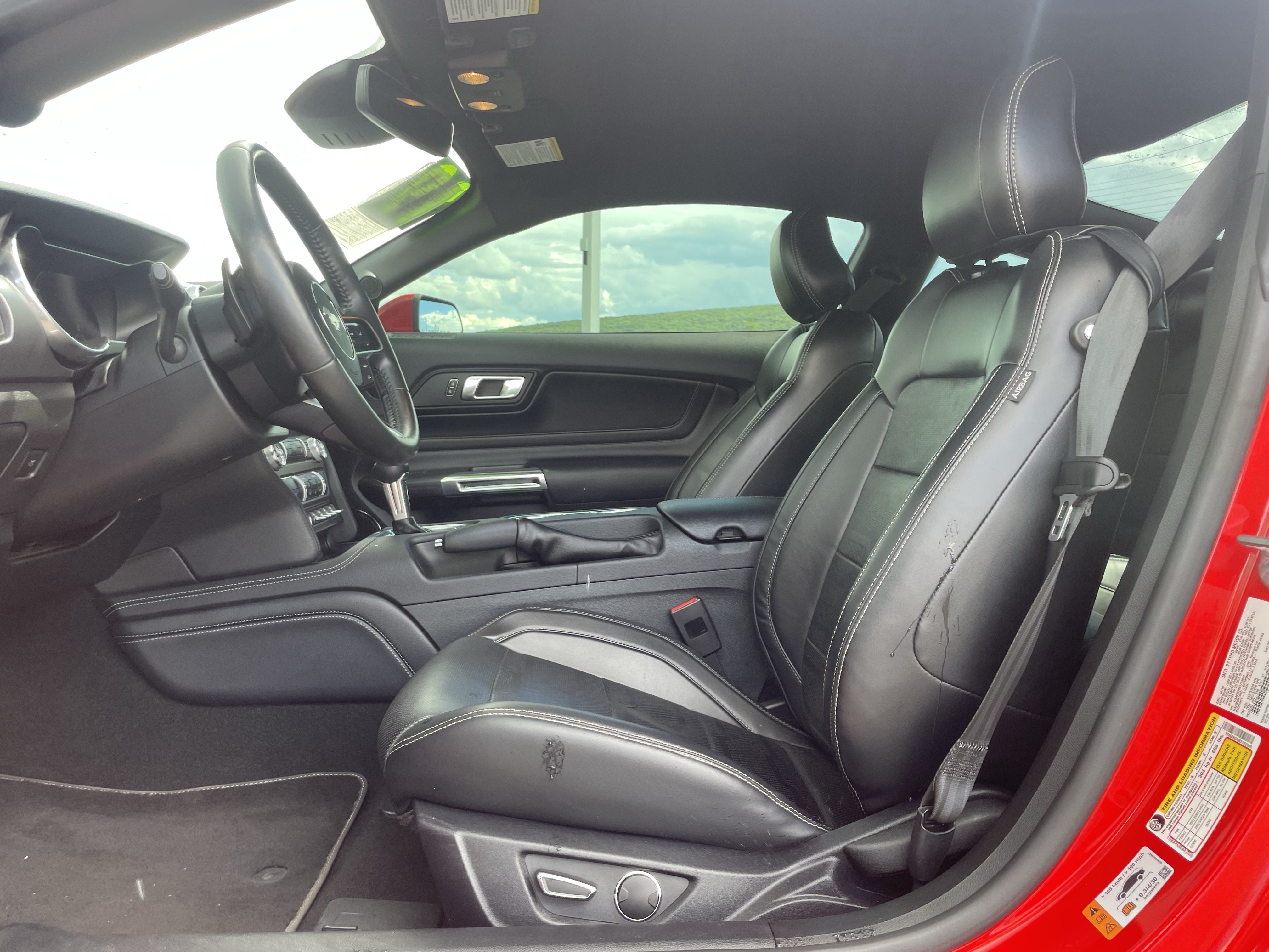 Used 2019 Ford Mustang GT Premium w/ Equipment Group 401A RWD image 12