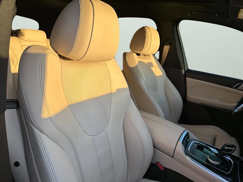 Used 2019 BMW X5 xDrive40i w/ Convenience Package image 13