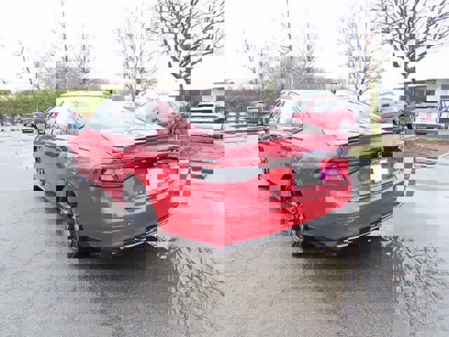 Certified 2025 Honda Accord Sport image 4