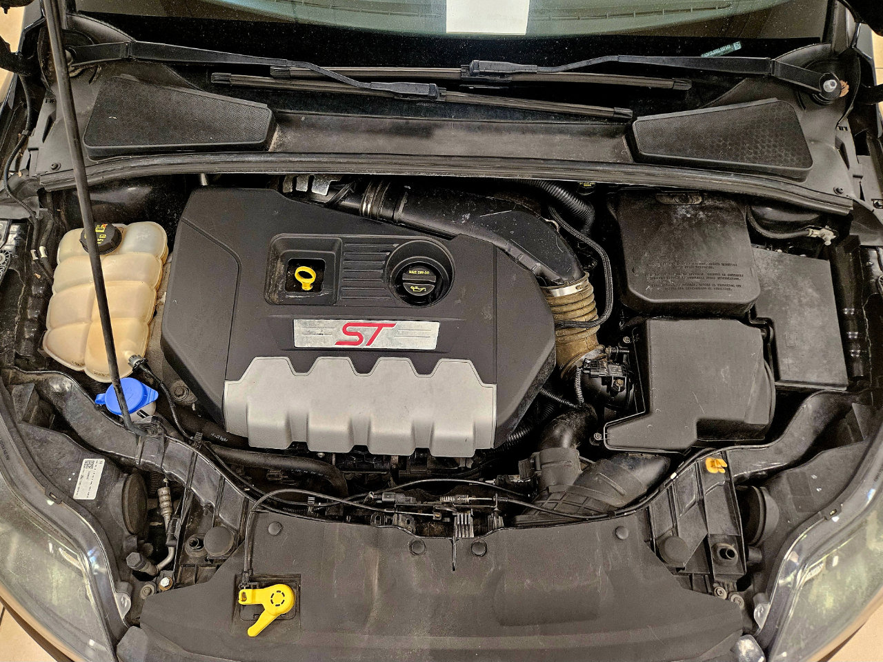 Used 2014 Ford Focus ST w/ Equipment Group 202A image 19