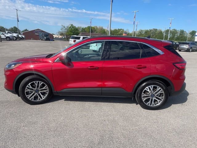 Used 2020 Ford Escape SEL image 5