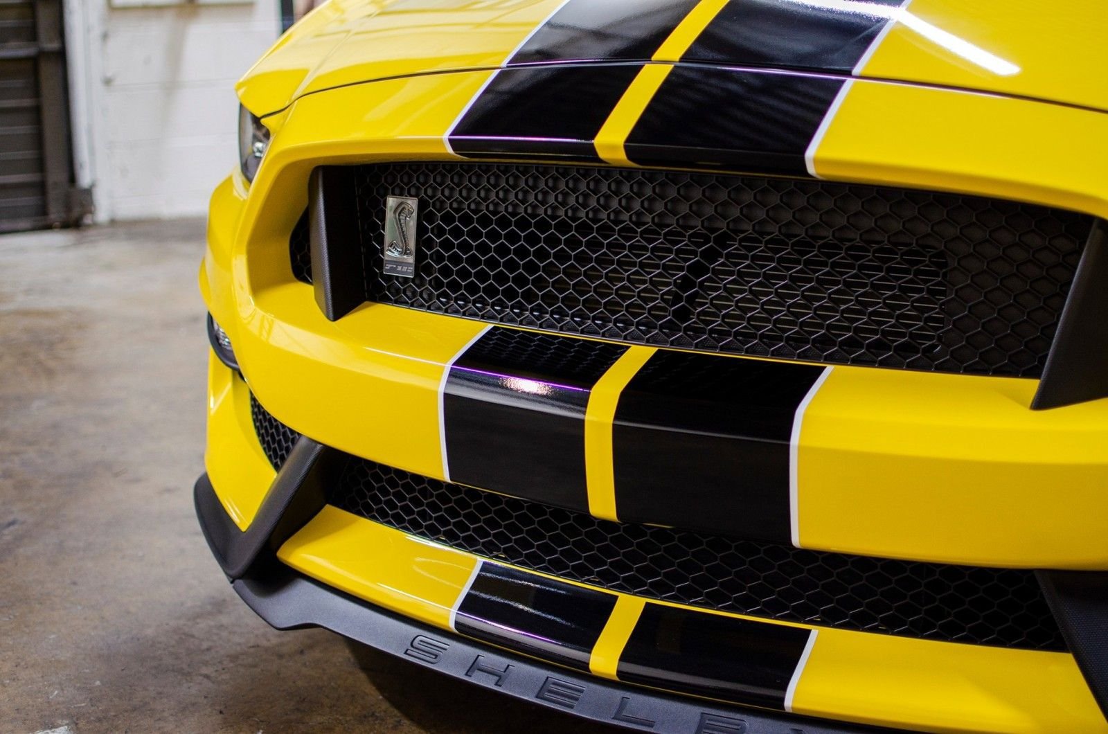 Used 2016 Ford Mustang Shelby GT350 w/ Technology Package RWD image 13