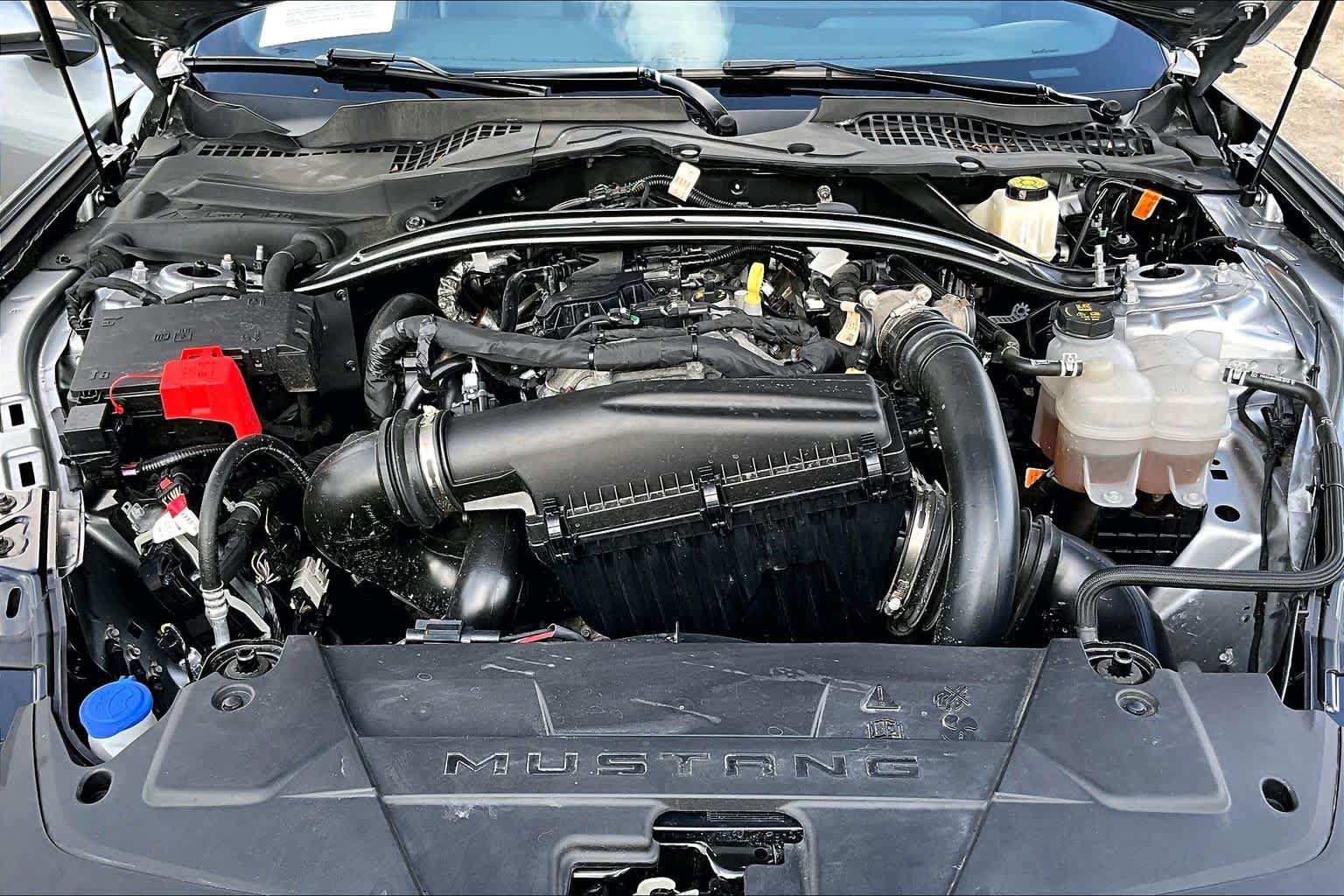 Used 2025 Ford Mustang Premium RWD image 28