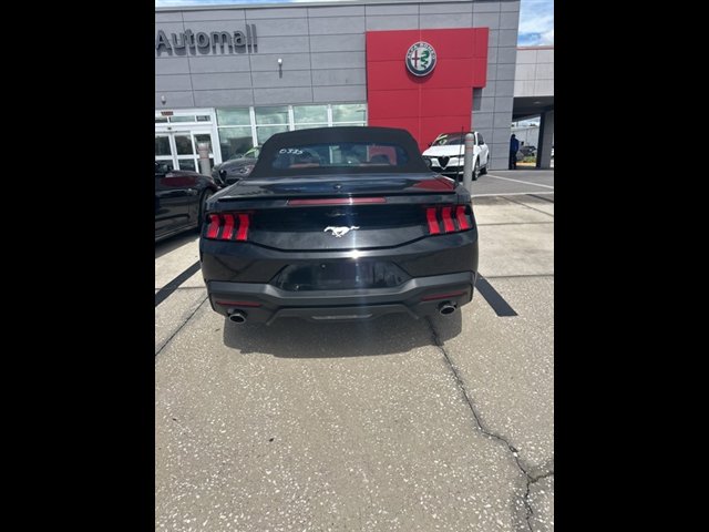 Used 2024 Ford Mustang Premium image 4