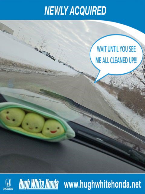 Used 2013 Honda Pilot Touring image 5