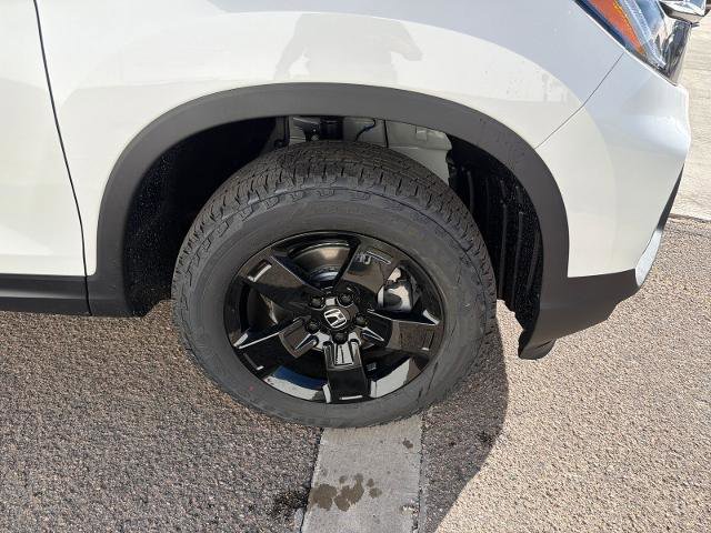 New 2026 Honda Ridgeline Black Edition image 11