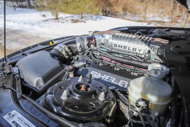 Used 2017 Ford Mustang GT Premium w/ Equipment Group 401A image 25