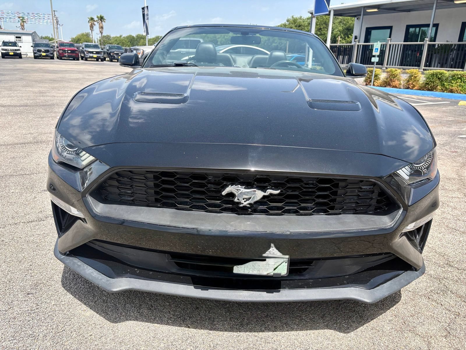 Used 2018 Ford Mustang Premium w/ Equipment Group 201A RWD image 8