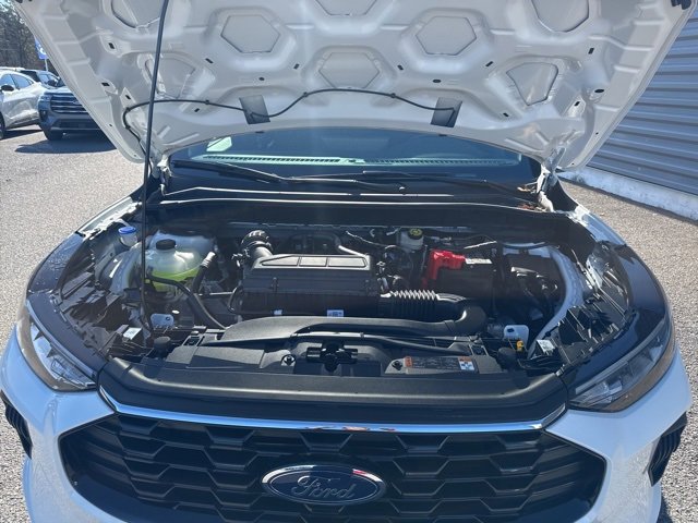 New 2025 Ford Escape ST-Line w/ Tech Pack #1 image 37