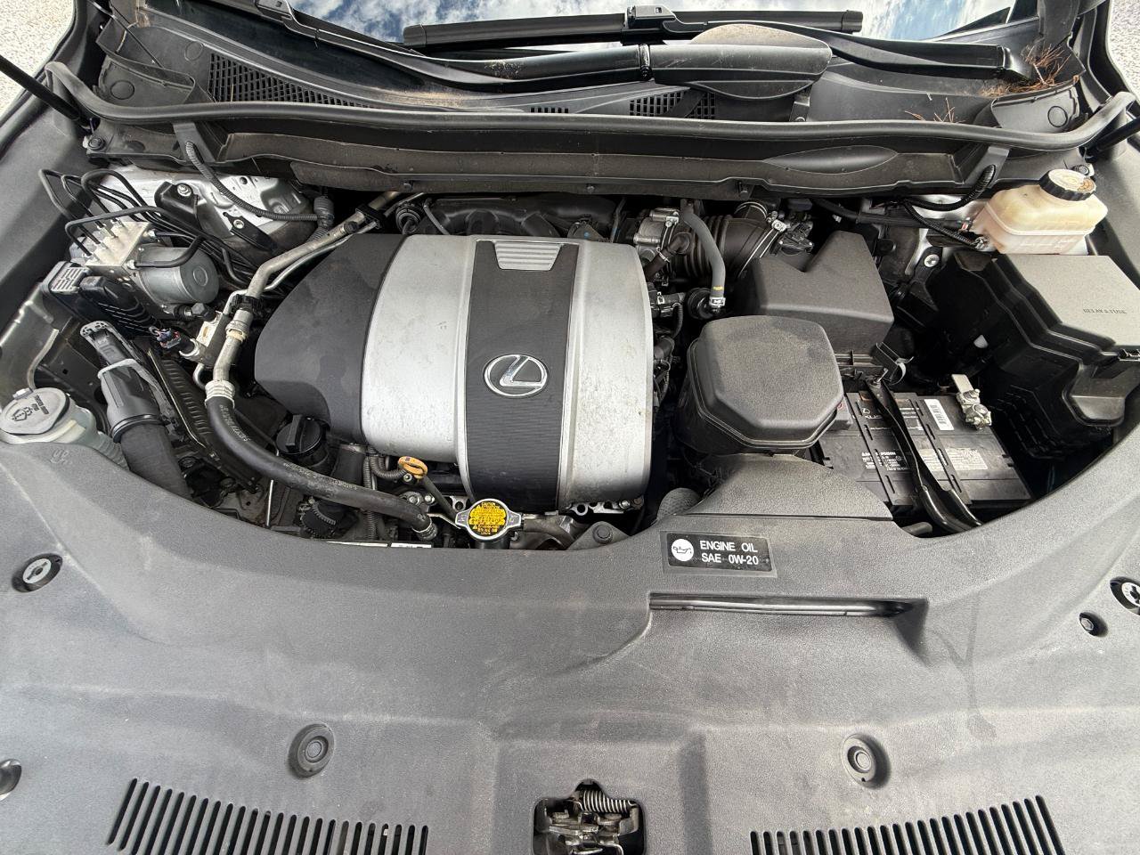 Used 2016 Lexus RX 350 FWD w/ Premium Package image 11