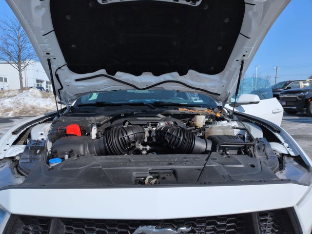 Used 2024 Ford Mustang GT Premium image 22