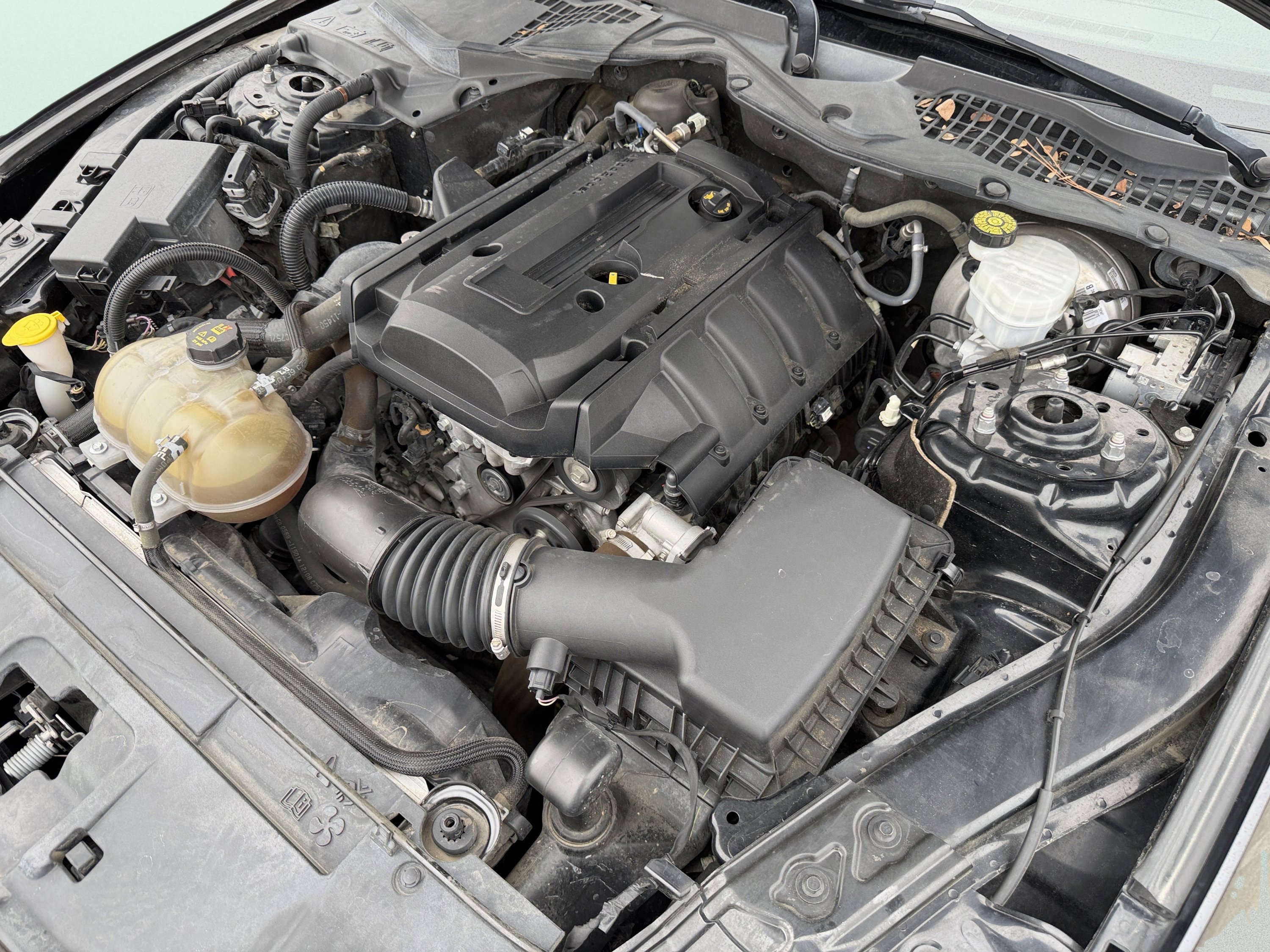 Used 2019 Ford Mustang Coupe image 13