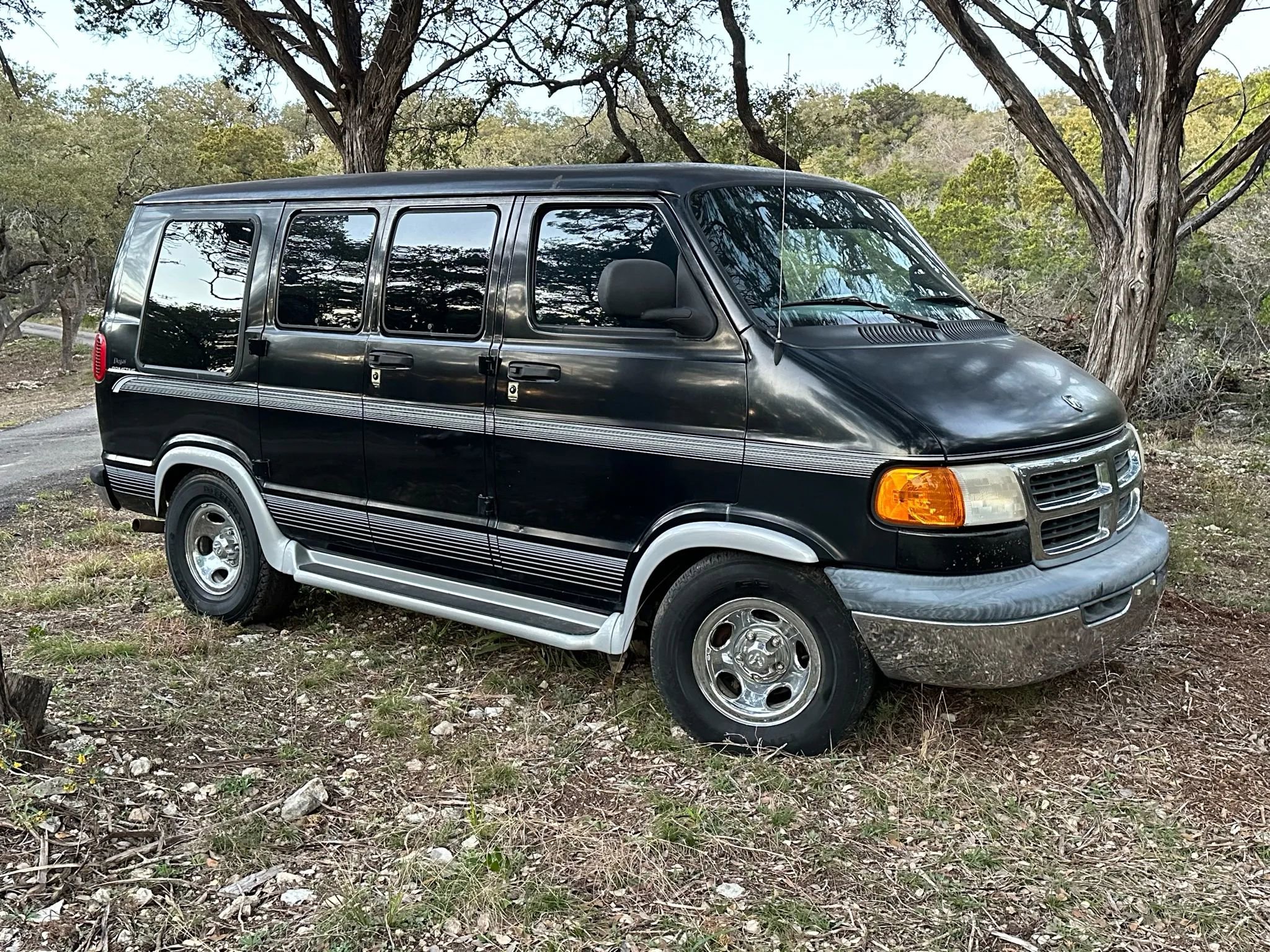 Used 1999 Dodge B1500 image 1