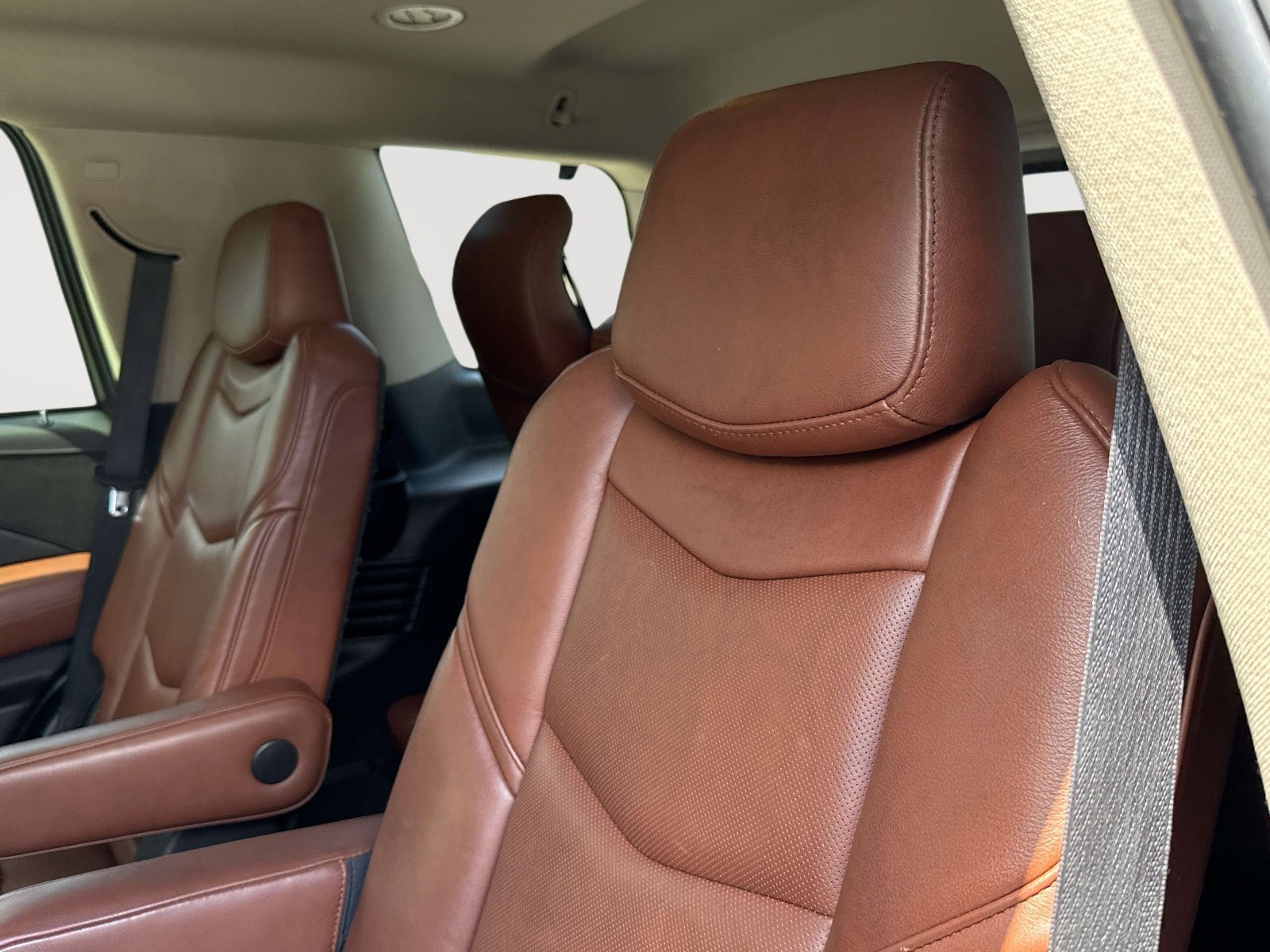 Used 2019 Cadillac Escalade Luxury image 30