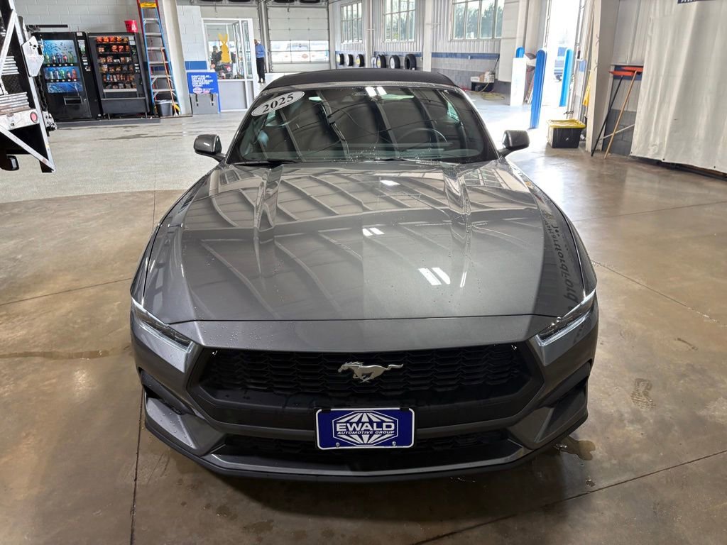 Certified 2025 Ford Mustang Premium image 3