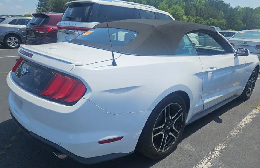Used 2018 Ford Mustang Premium w/ Equipment Group 201A RWD image 2