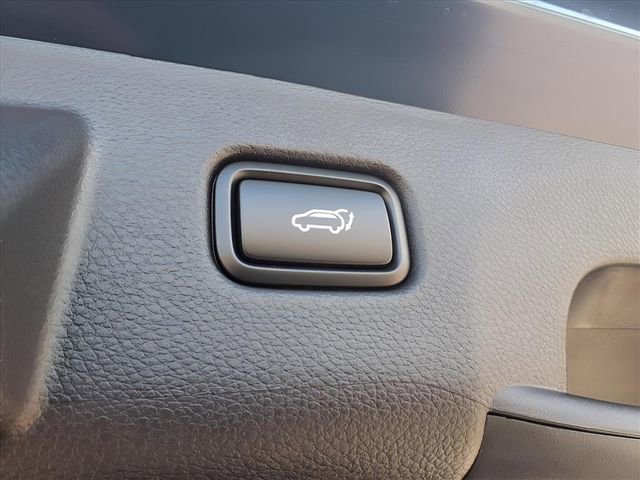 New 2026 Kia Seltos EX w/ EX Sunroof Package AWD/4WD image 23