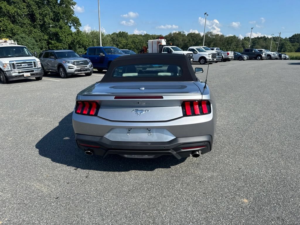 Used 2024 Ford Mustang Premium RWD image 5