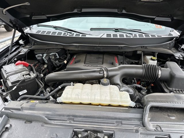Used 2025 Ford F150 Raptor image 25