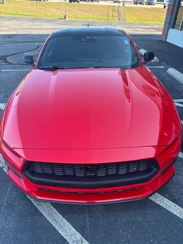 New 2026 Ford Mustang Coupe w/ Mustang Nite Pony Package RWD image 3