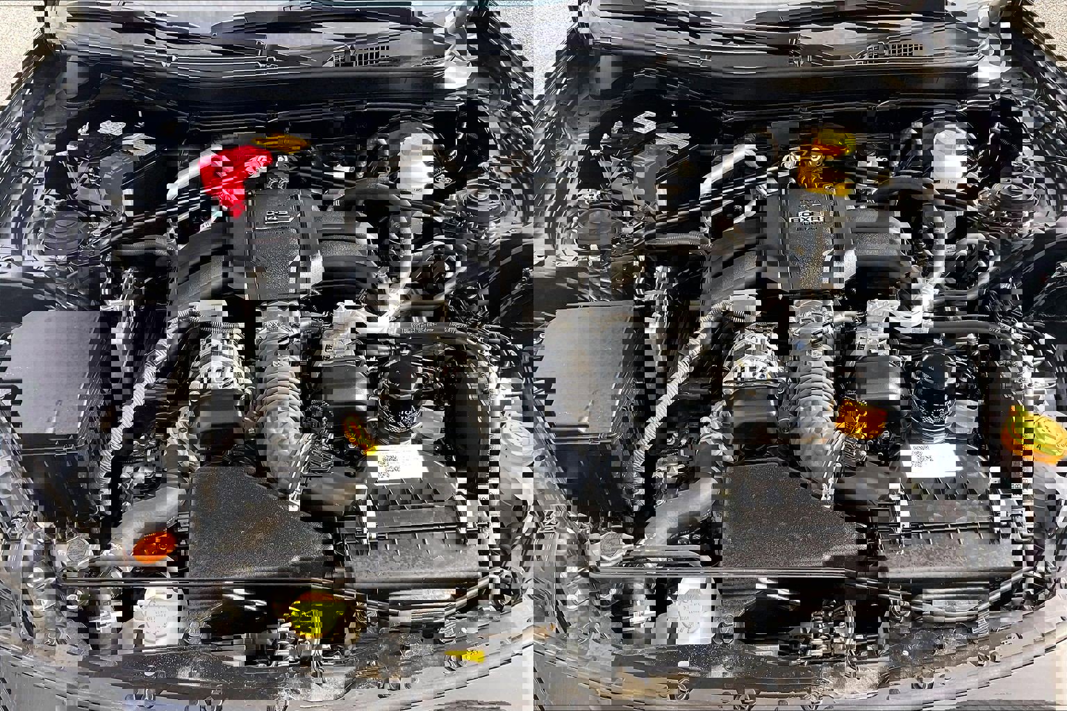 Used 2023 Toyota GR86 Premium w/ ALL Weather Mat Package (TMS) image 13