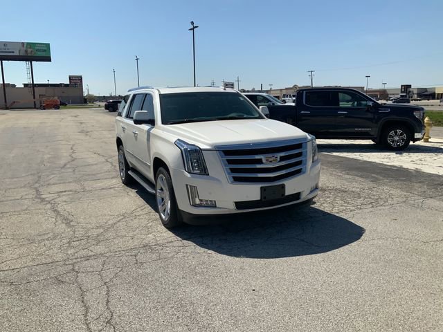 Used 2015 Cadillac Escalade Luxury image 4