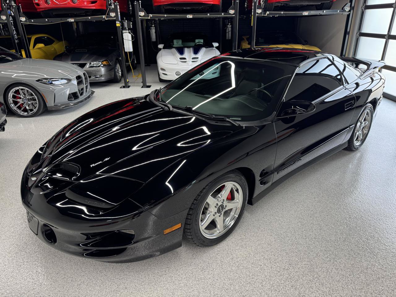 Used 2001 Pontiac Firebird Trans Am w/ SLP Firehawk Pkg RWD image 5
