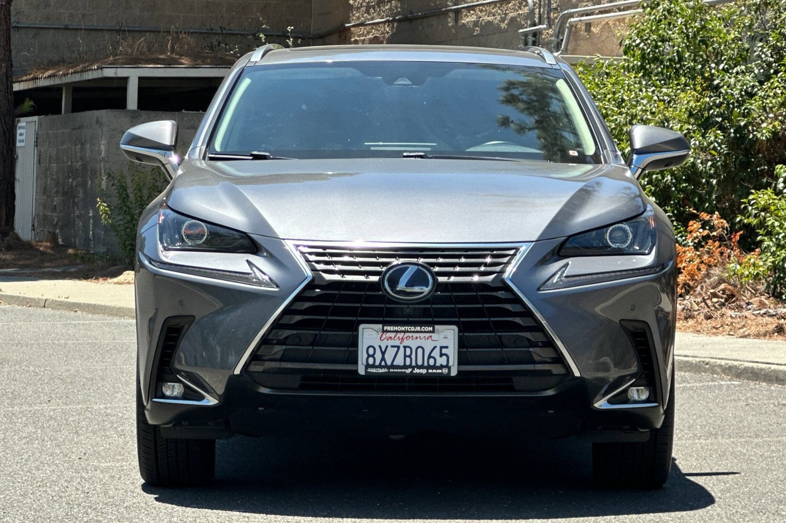 Used 2021 Lexus NX 300h AWD w/ Premium Package image 8