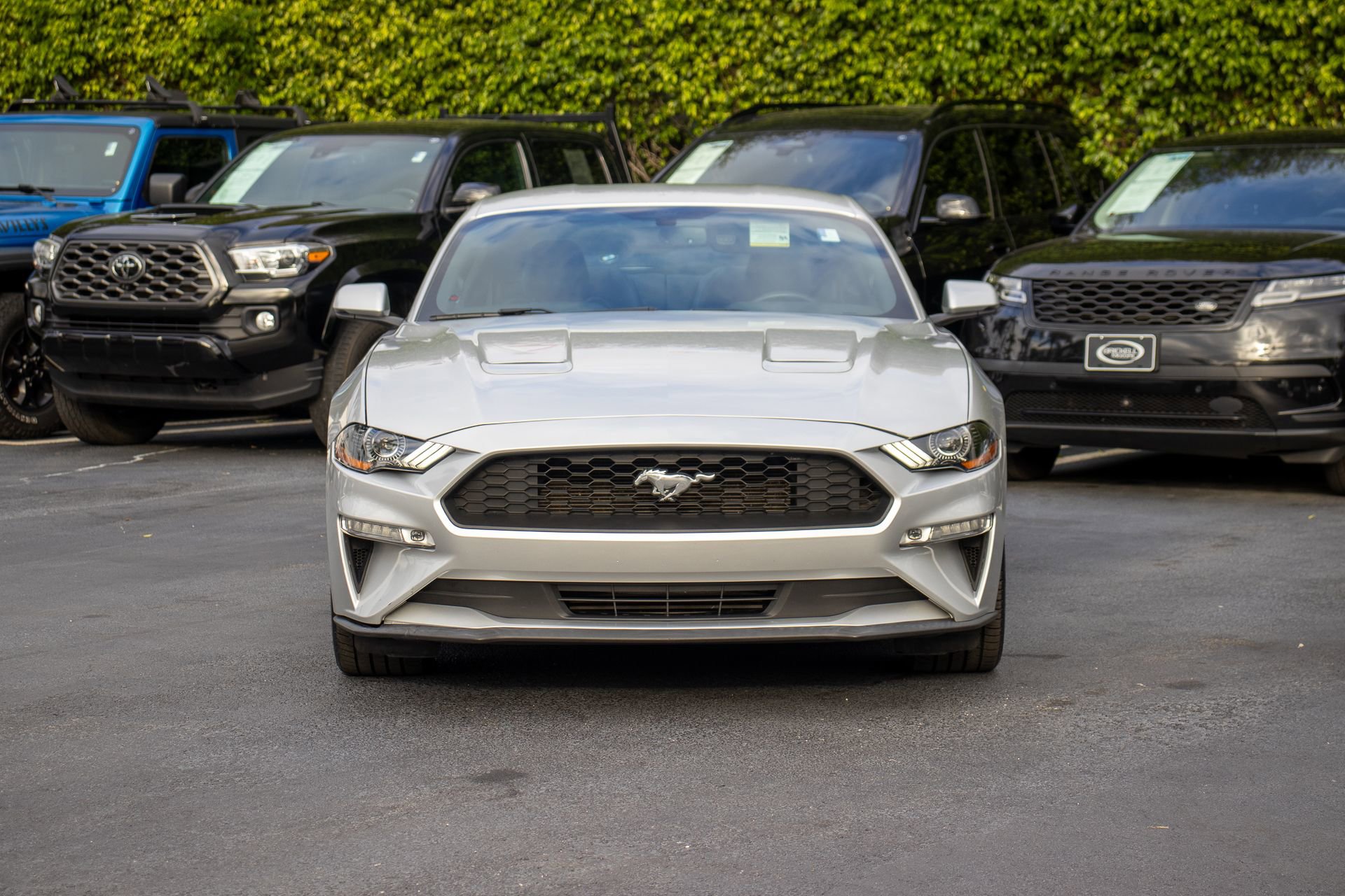 Used 2019 Ford Mustang Premium w/ Ecoboost Performance Package image 2