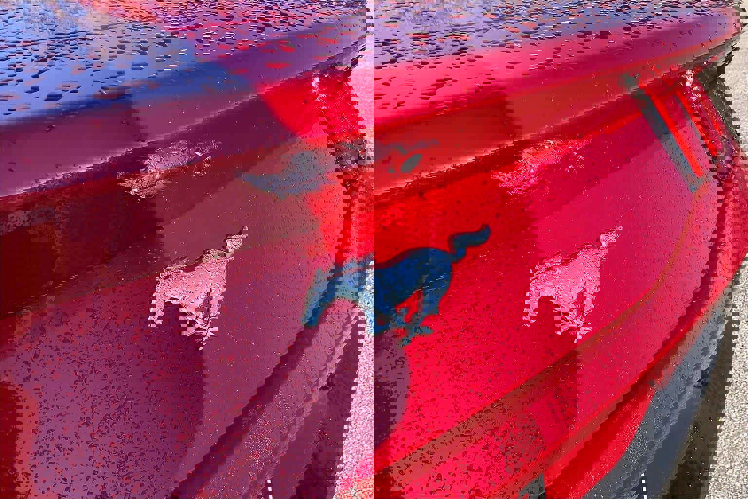 Used 2024 Ford Mustang Coupe image 9