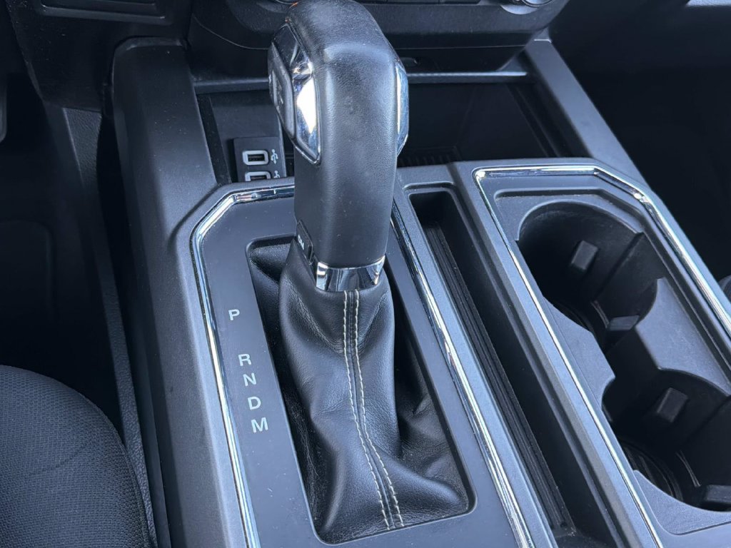 Used 2019 Ford F150 XLT w/ Equipment Group 302A Luxury AWD/4WD image 21