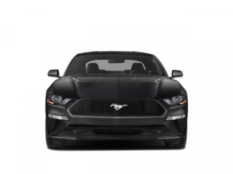 Used 2019 Ford Mustang Premium image 4