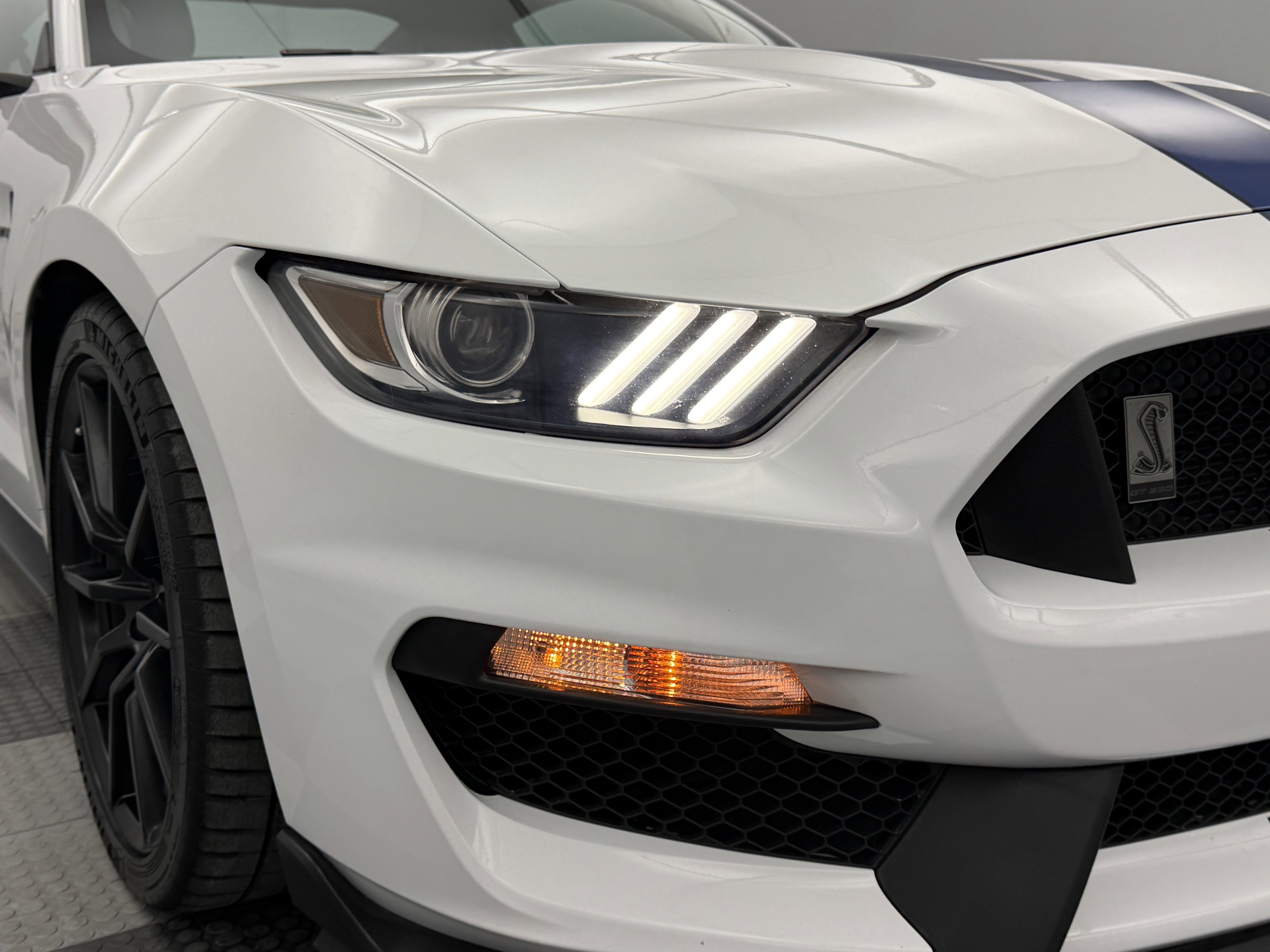 Used 2017 Ford Mustang Shelby GT350 image 29