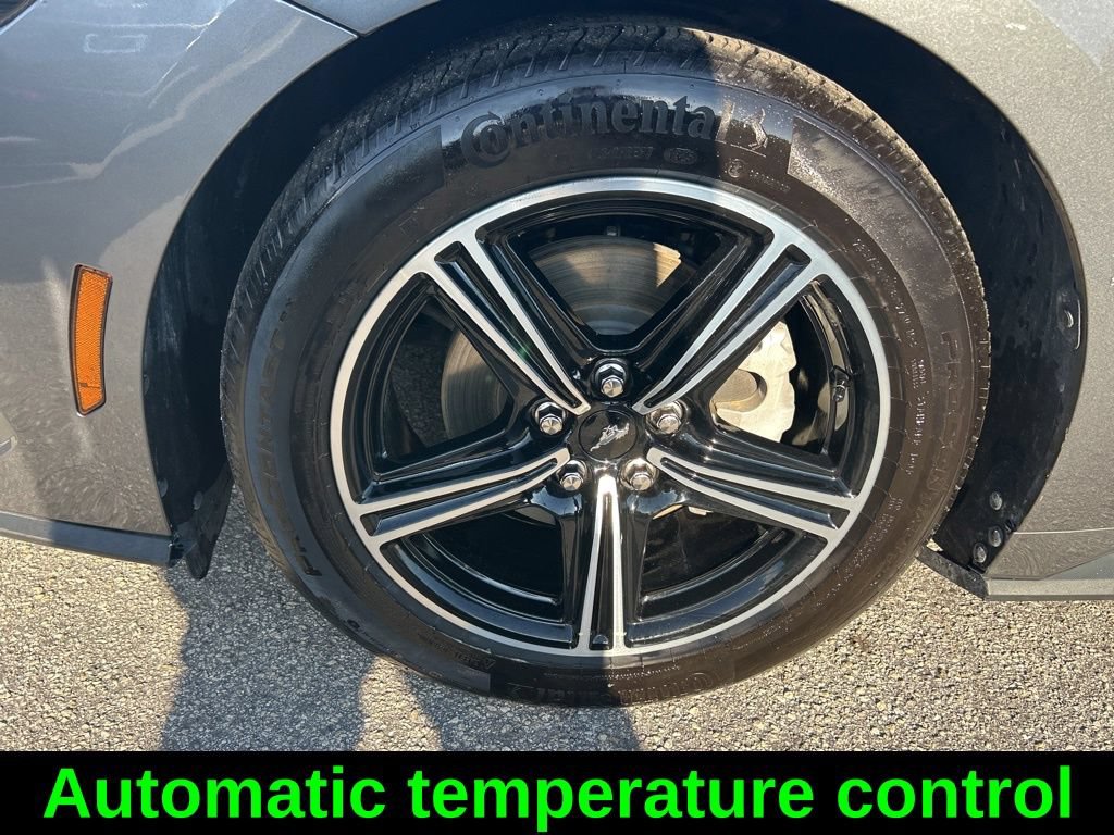 Used 2025 Ford Mustang Premium RWD image 19