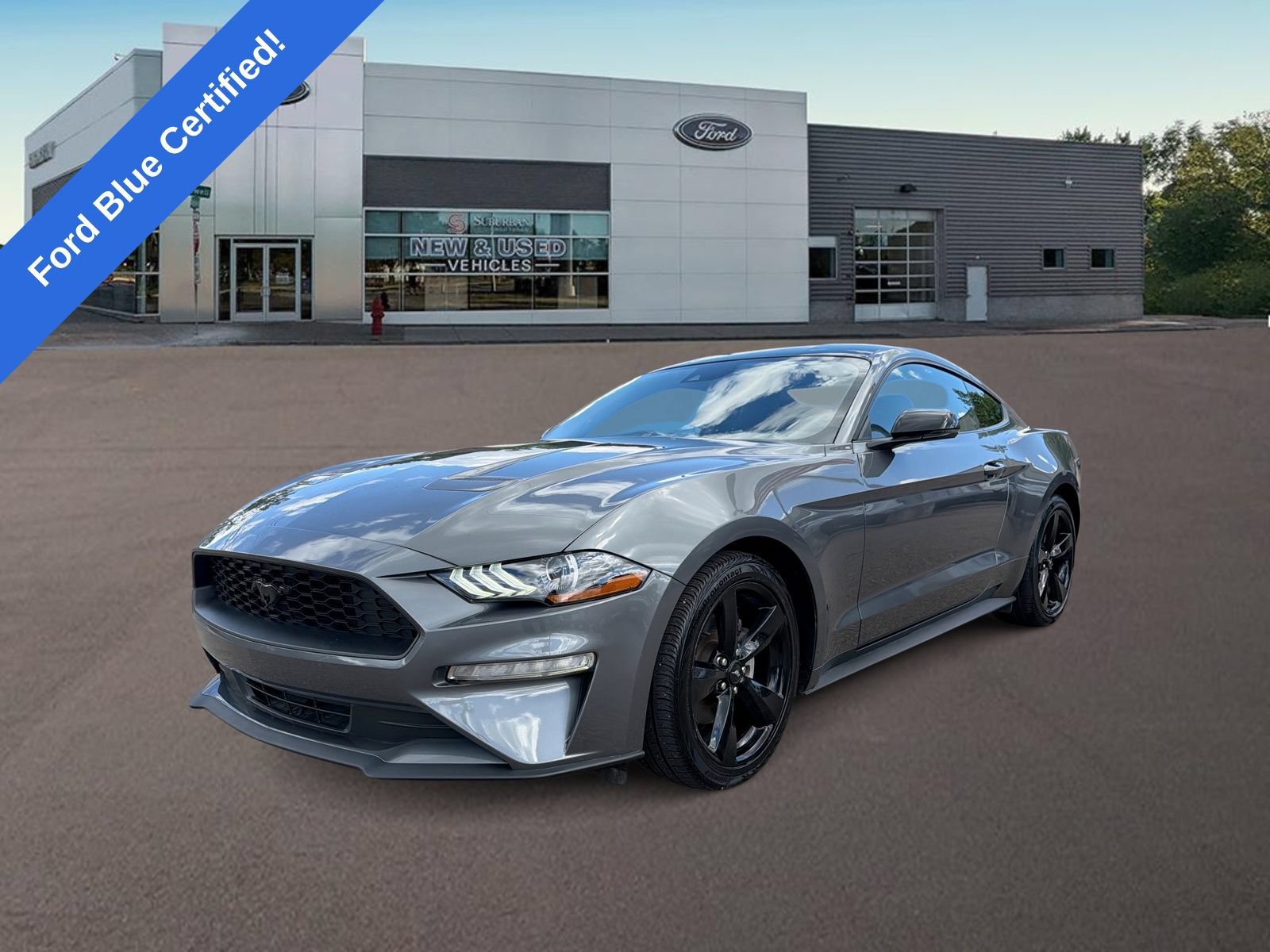 Certified 2022 Ford Mustang Premium w/ Equipment Group 201A