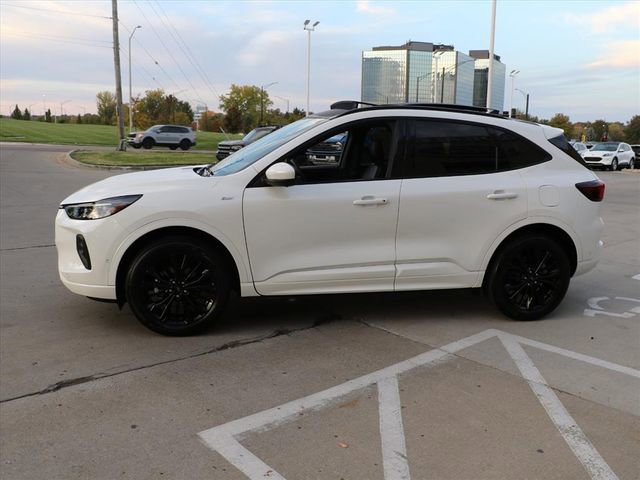 Used 2024 Ford Escape ST-Line Elite w/ Premium Technology Package image 3