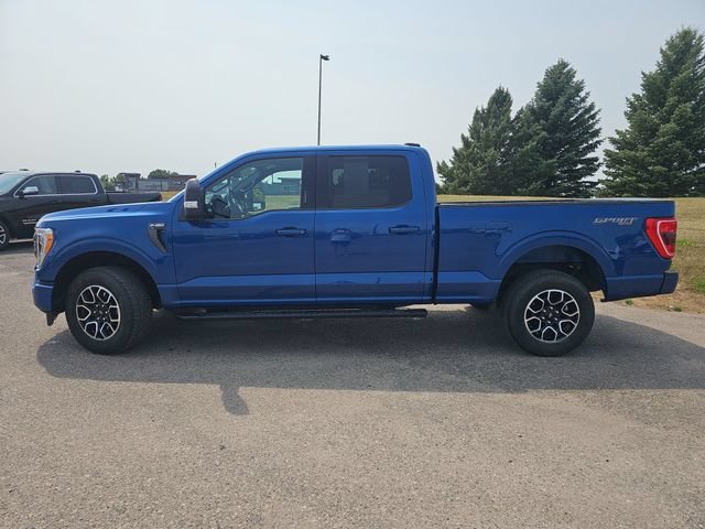 Used 2023 Ford F150 XLT w/ Equipment Group 302A High AWD/4WD video 2