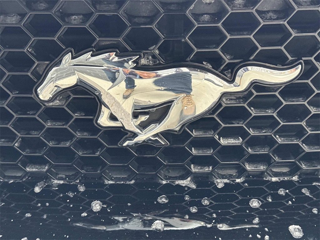 Used 2018 Ford Mustang GT Premium image 10