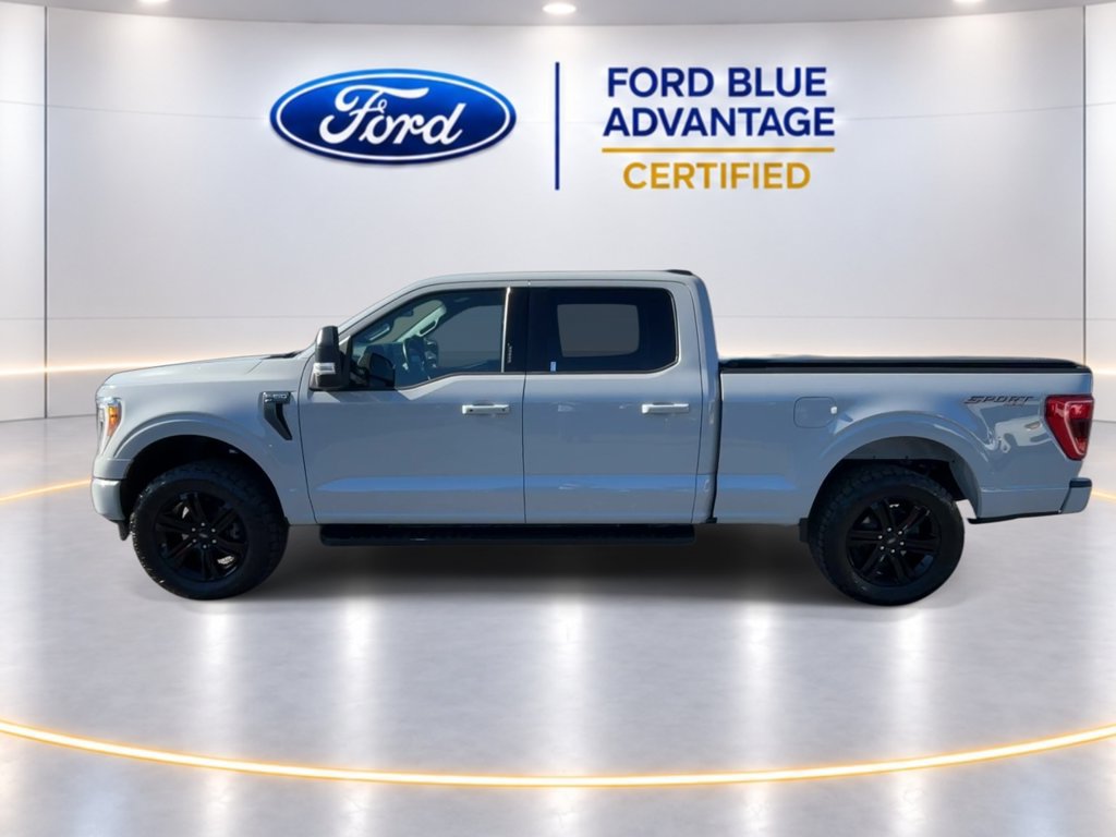 Used 2023 Ford F150 XLT w/ Equipment Group 302A High AWD/4WD image 6