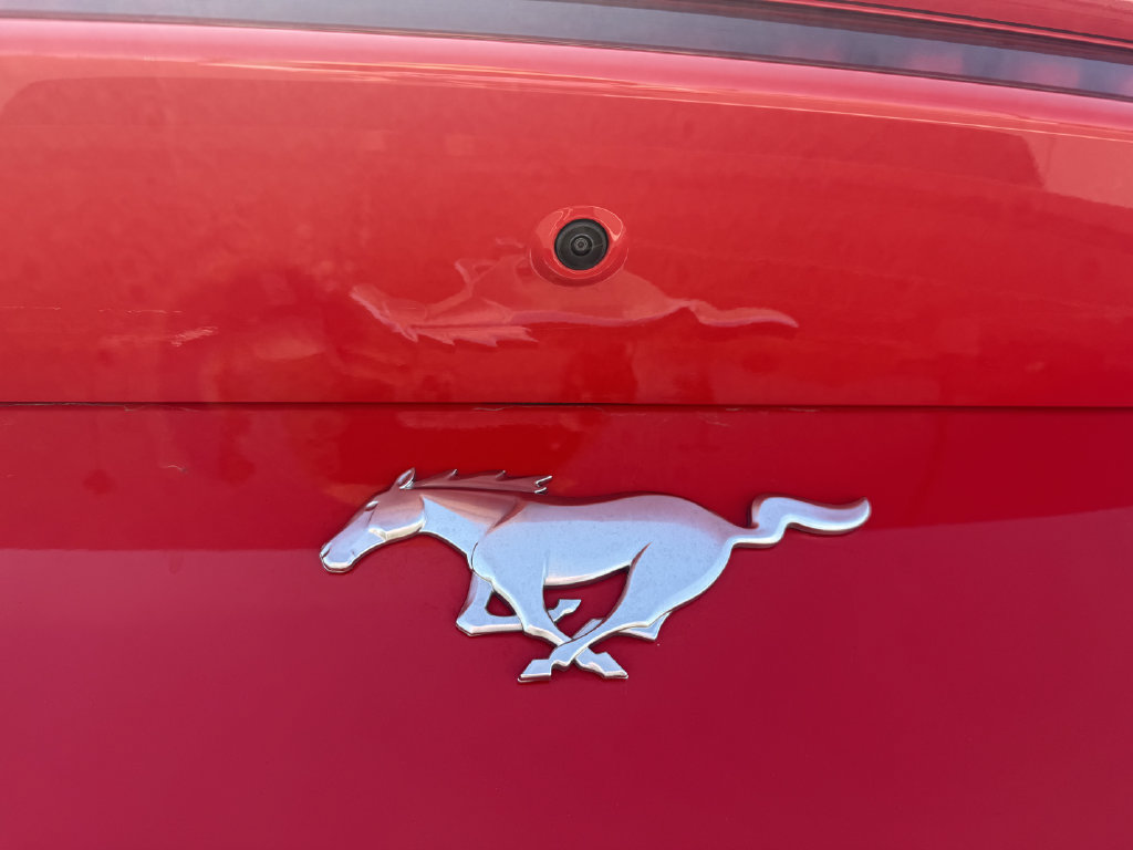 Used 2024 Ford Mustang Premium RWD image 6