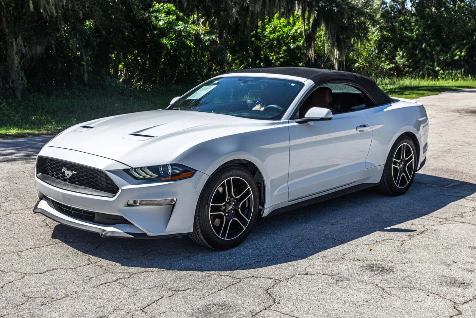 Used 2018 Ford Mustang Premium RWD image 21