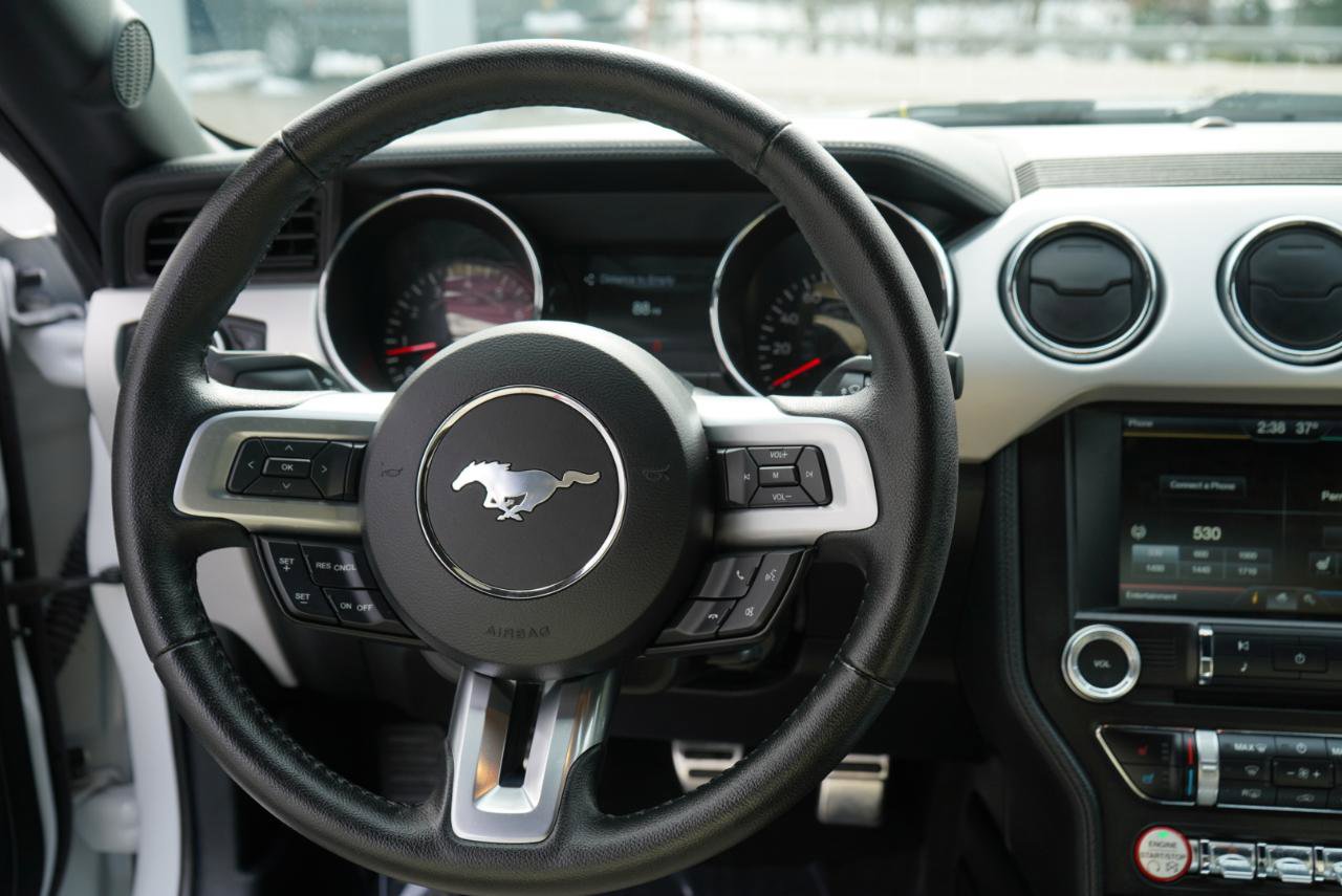 Used 2015 Ford Mustang GT Premium w/ Equipment Group 401A image 48