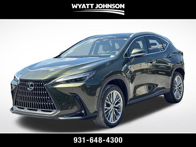 Used 2025 Lexus NX 350 AWD w/ Cold Area Package image 1