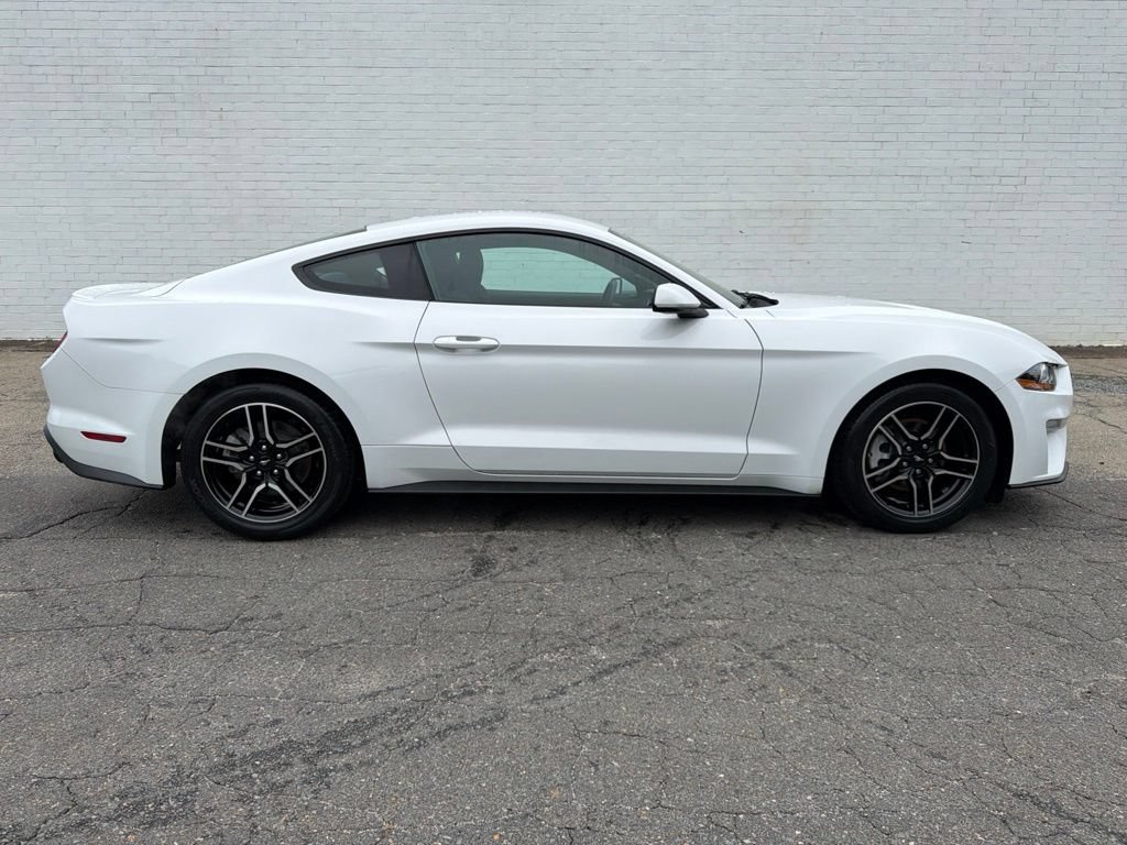 Used 2019 Ford Mustang EcoBoost Premium Coupe 2D w/ Equipment Group 101A