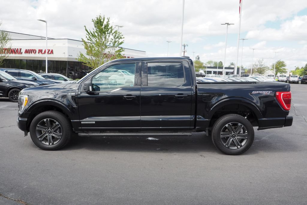 Used 2023 Ford F150 XLT w/ Equipment Group 302A High AWD/4WD image 4